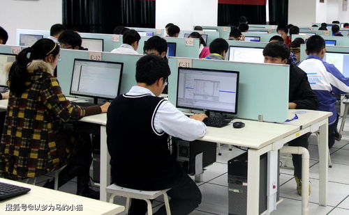 計(jì)算機(jī)技術(shù)開發(fā) 理科男生的黃金賽道，就業(yè)率高前景廣闊